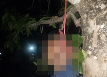 Petugas segera melakukan pengecekan di lokasi serta mengamankan area untuk memastikan penanganan berjalan sesuai prosedur. Sejumlah saksi juga dimintai keterangan terkait kejadian tersebut.