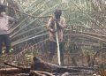 Kapolres Kotawaringin Timur AKBP I Kadek Dwi Yoga Sidhimantra W., S.H., S.I.K., M.M. turun langsung melaksanakan upaya pemadaman kebakaran hutan dan lahan (Karhutla) yang terjadi di Desa Rawa Sari, Kecamatan Pulau Hanaut, Kabupaten Kotawaringin Timur , Minggu (20/09/2026) Pagi
