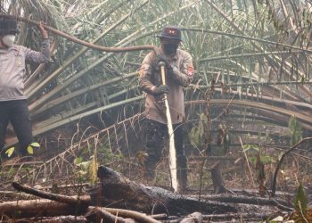 Kapolres Kotawaringin Timur AKBP I Kadek Dwi Yoga Sidhimantra W., S.H., S.I.K., M.M. turun langsung melaksanakan upaya pemadaman kebakaran hutan dan lahan (Karhutla) yang terjadi di Desa Rawa Sari, Kecamatan Pulau Hanaut, Kabupaten Kotawaringin Timur , Minggu (20/09/2026) Pagi