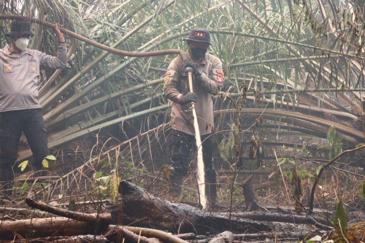Kapolres Kotawaringin Timur AKBP I Kadek Dwi Yoga Sidhimantra W., S.H., S.I.K., M.M. turun langsung melaksanakan upaya pemadaman kebakaran hutan dan lahan (Karhutla) yang terjadi di Desa Rawa Sari, Kecamatan Pulau Hanaut, Kabupaten Kotawaringin Timur , Minggu (20/09/2026) Pagi