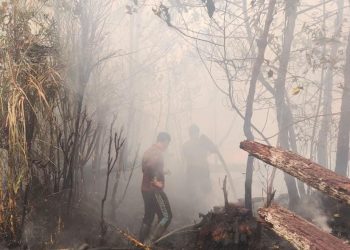 Personel Satgas Karhutla dengan menggunakan masker dan memegang selang air berjibaku memadamkan bara api yang masih menyala di atas lahan yang telah menghitam akibat terbakar.