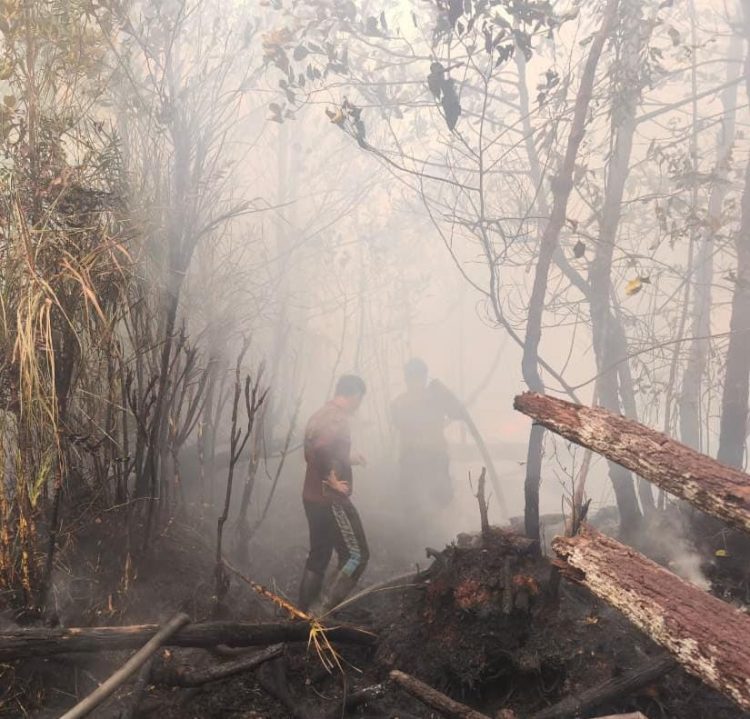 Personel Satgas Karhutla dengan menggunakan masker dan memegang selang air berjibaku memadamkan bara api yang masih menyala di atas lahan yang telah menghitam akibat terbakar.