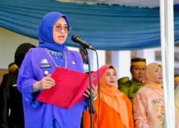 Bupati Gowa, Sitti Husniah Talenrang (HT)