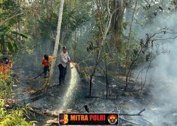Berdasarkan pemantauan hingga Minggu 6 September 2026 pukul 17.54 WIB, tercatat 19 titik Hotspot di 4 kecamatan. Seluruhnya telah dilakukan Ground Check, dipadamkan dan proses pendinginan selesai.