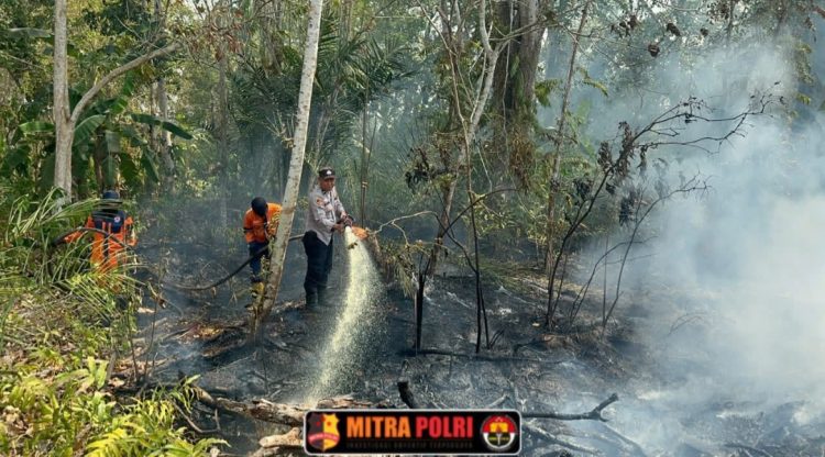 Berdasarkan pemantauan hingga Minggu 6 September 2026 pukul 17.54 WIB, tercatat 19 titik Hotspot di 4 kecamatan. Seluruhnya telah dilakukan Ground Check, dipadamkan dan proses pendinginan selesai. 