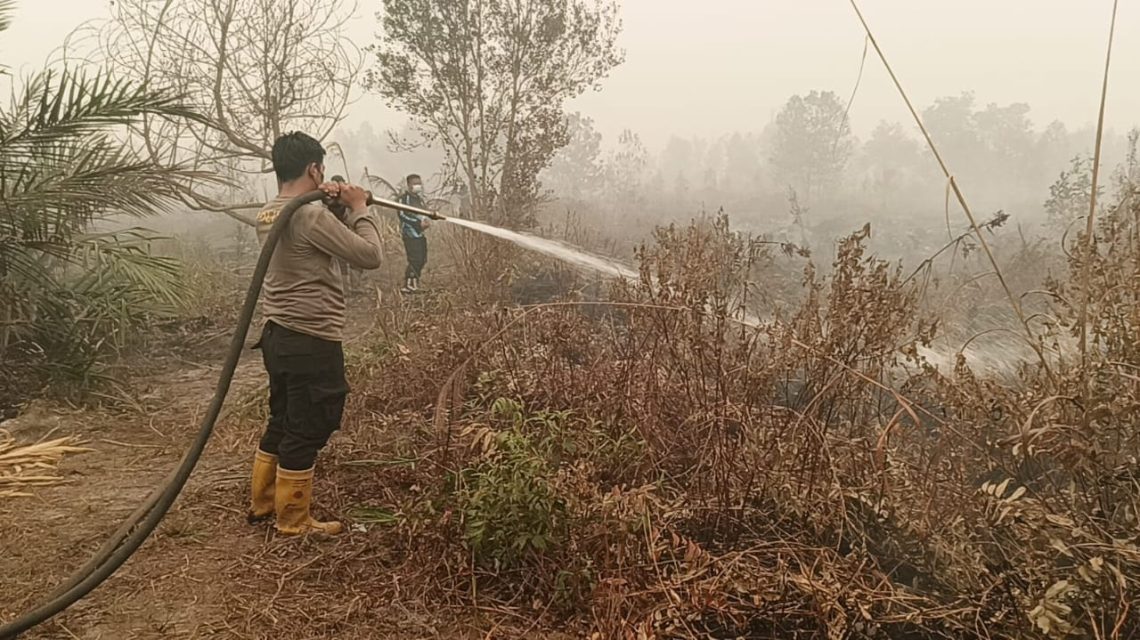 Polda Kalimantan Tengah (Kalteng) mengerahkan puluhan kendaraan pemadam dalam upaya menggempur kebakaran hutan dan lahan (Karhutla) yang terjadi di kawasan Jalan Buluh Merindu, Kel. Sabaru, Kec. Sabangau, Kota Palangka Raya, Selasa (30/9/2026).