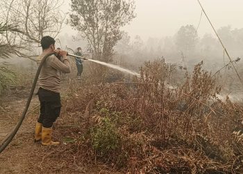 Polda Kalimantan Tengah (Kalteng) mengerahkan puluhan kendaraan pemadam dalam upaya menggempur kebakaran hutan dan lahan (Karhutla) yang terjadi di kawasan Jalan Buluh Merindu, Kel. Sabaru, Kec. Sabangau, Kota Palangka Raya, Selasa (30/9/2026).