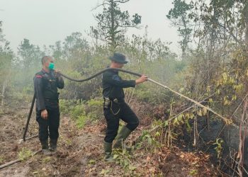 personel Polda Kalimantan Tengah (Kalteng) tetap berjibaku memadamkan kebakaran hutan dan lahan (Karhutla) di sejumlah wilayah Kota Palangka Raya.