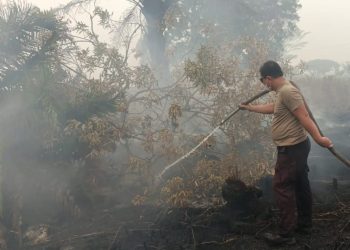 Petugas bersama unsur instansi terkait mengerahkan satu unit water cannon dan tiga mesin pemadam untuk menangani kebakaran pada lahan gambut yang ditumbuhi semak belukar serta pepohonan.