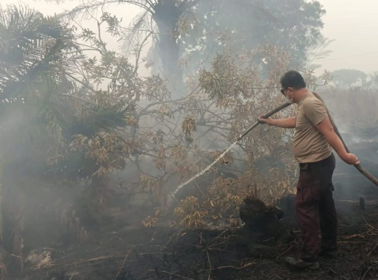 Petugas bersama unsur instansi terkait mengerahkan satu unit water cannon dan tiga mesin pemadam untuk menangani kebakaran pada lahan gambut yang ditumbuhi semak belukar serta pepohonan.