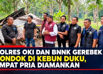 Tim gabungan Polres Ogan Komering Ilir (OKI) dan Badan Narkotika Nasional Kabupaten (BNNK) OKI menggelar razia narkotika di sejumlah pondok yang berada di tengah perkebunan duku,
