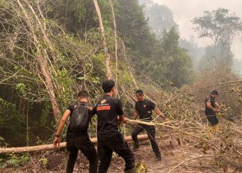 Upaya pemadaman api sekaligus membuka kembali akses jalan yang terhalang pohon tumbang di Jalan Tjilik Riwut Km 36, Kota Palangka Raya, Senin (12/10/2026).