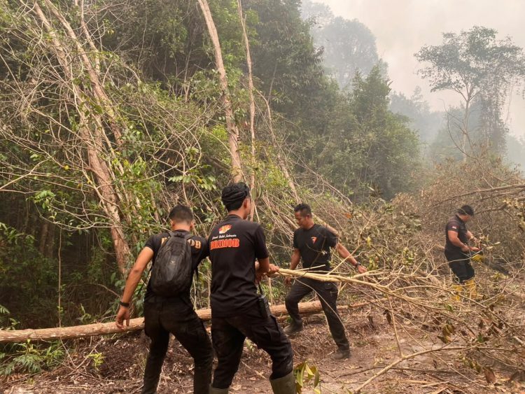 Upaya pemadaman api sekaligus membuka kembali akses jalan yang terhalang pohon tumbang di Jalan Tjilik Riwut Km 36, Kota Palangka Raya, Senin (12/10/2026).