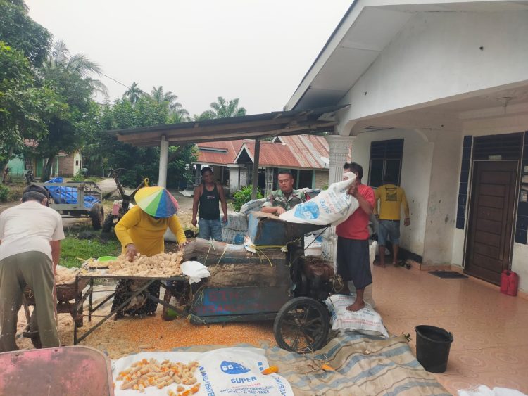 Babinsa Koramil 10/Tanah Jawa, Kodim 0207/Simalungun, Serka Suhadi, melaksanakan komunikasi sosial (komsos) sekaligus membantu proses penggilingan jagung hasil panen milik warga, Bapak Sumayanto, di Nagori Mekar Bahalat