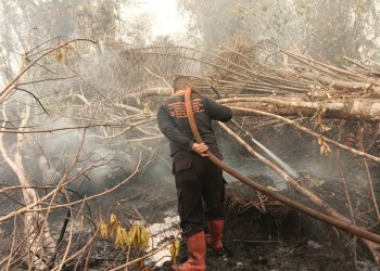 Penanganan melibatkan Regu I, 3, 8, dan 9 Polresta Palangka Raya bersama Dit Samapta Polda Kalteng, BPBD Provinsi Kalteng, serta tim pemadam dan relawan dengan dukungan kendaraan pemadam dan mobil tangki air.