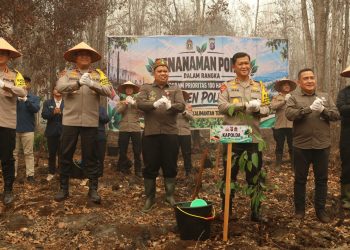 Kegiatan penghijauan tersebut dipimpin langsung Kapolda Kalteng Irjen Pol Iwan Kurniawan, bersama Wakapolda Brigjen Pol Dr. Hendra Wirawan, pejabat utama Polda Kalteng, Balai Taman Nasional Sebangau, serta Dinas Kehutanan Provinsi dan Kota Palangka Raya.