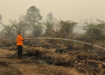 Satgas Tanggap Darurat Karhutla Polresta Palangka Raya Regu 8 dan Regu 9 memadamkan kebakaran lahan di Jalan Diklat, Kelurahan Bukit Tunggal,