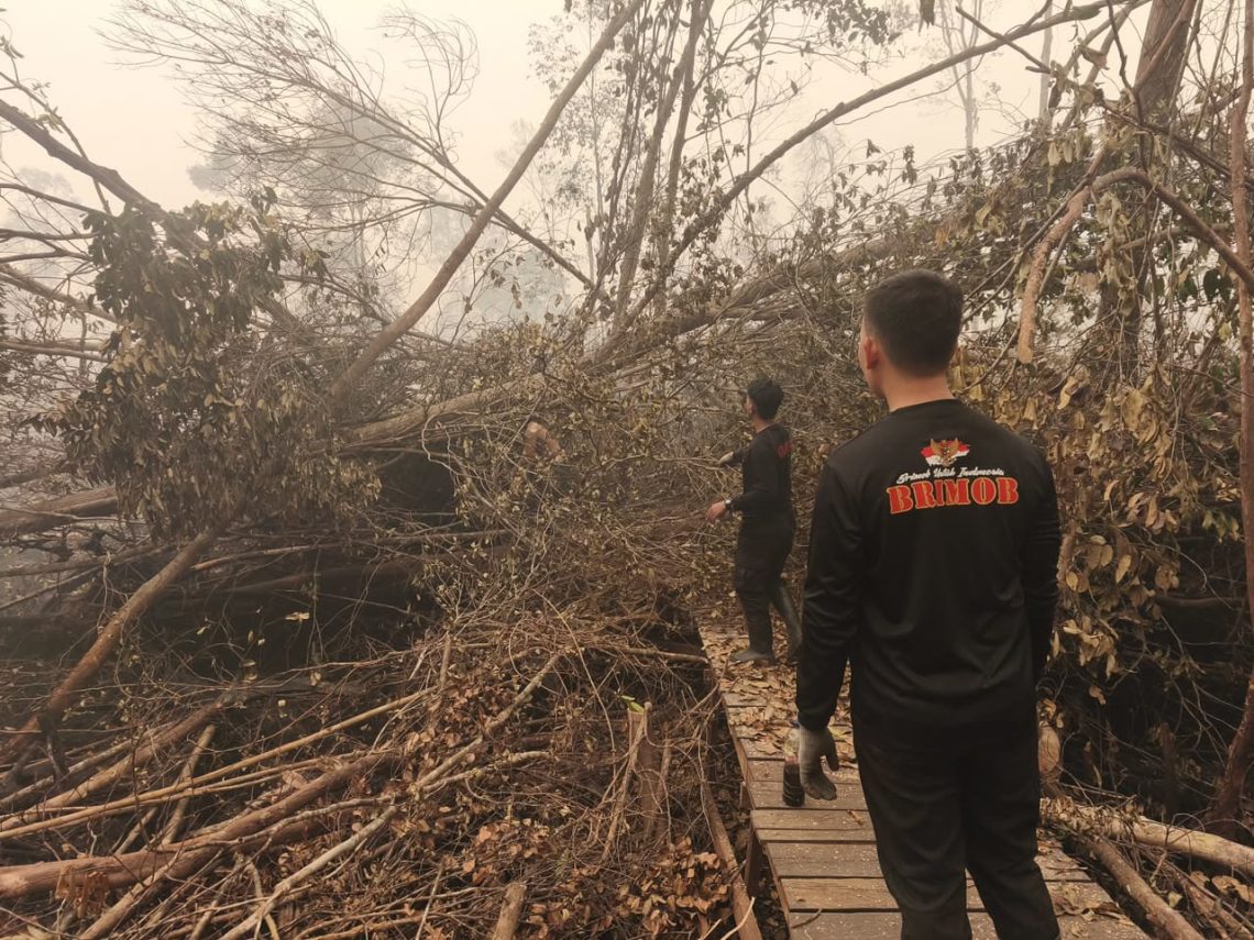 Personel melaksanakan upaya pemadaman dan pembasahan lahan yang terdampak kebakaran di kawasan Sungai Koran, Taman Nasional Sebangau, Kalimantan Tengah.
