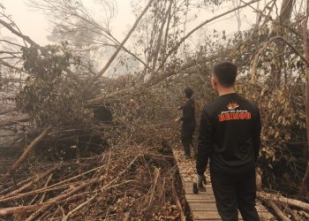 Personel melaksanakan upaya pemadaman dan pembasahan lahan yang terdampak kebakaran di kawasan Sungai Koran, Taman Nasional Sebangau, Kalimantan Tengah.