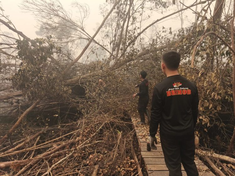 Personel melaksanakan upaya pemadaman dan pembasahan lahan yang terdampak kebakaran di kawasan Sungai Koran, Taman Nasional Sebangau, Kalimantan Tengah.