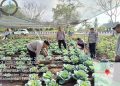Kapolres Seruyan AKBP Gusti Agung A. Udayani Addi, S.H., S.I.K., melaksanakan kegiatan penghijauan lingkungan melalui program Green Policing dengan menanam bibit pohon pepaya di lahan milik warga