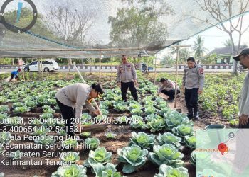 Kapolres Seruyan AKBP Gusti Agung A. Udayani Addi, S.H., S.I.K., melaksanakan kegiatan penghijauan lingkungan melalui program Green Policing dengan menanam bibit pohon pepaya di lahan milik warga