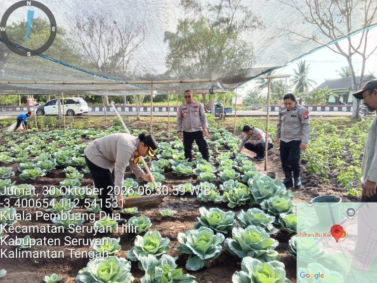 Kapolres Seruyan AKBP Gusti Agung A. Udayani Addi, S.H., S.I.K., melaksanakan kegiatan penghijauan lingkungan melalui program Green Policing dengan menanam bibit pohon pepaya di lahan milik warga