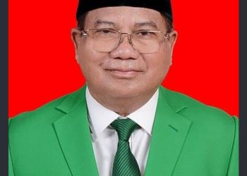 Ketua DPW PPP Provinsi Aceh, Dr. H. Amiruddin Idris, S.E., M.Si.