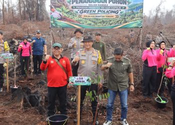 Polda Kalimantan Tengah terus menggaungkan Green Policing dengan penanaman 1.000 bibit pohon Belangiran di kawasan Kanal Aksio, Desa Tumbang Nusa, Kec. Jabiren Raya, Kab. Pulang Pisau, Jumat (30/10/2026).