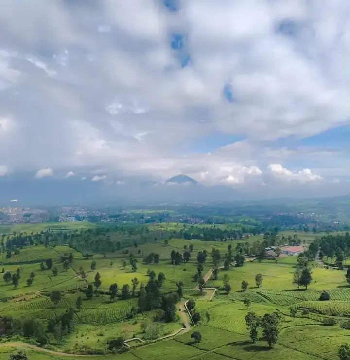 Spot Instagramable & Penginapan Estetik di Pangalengan