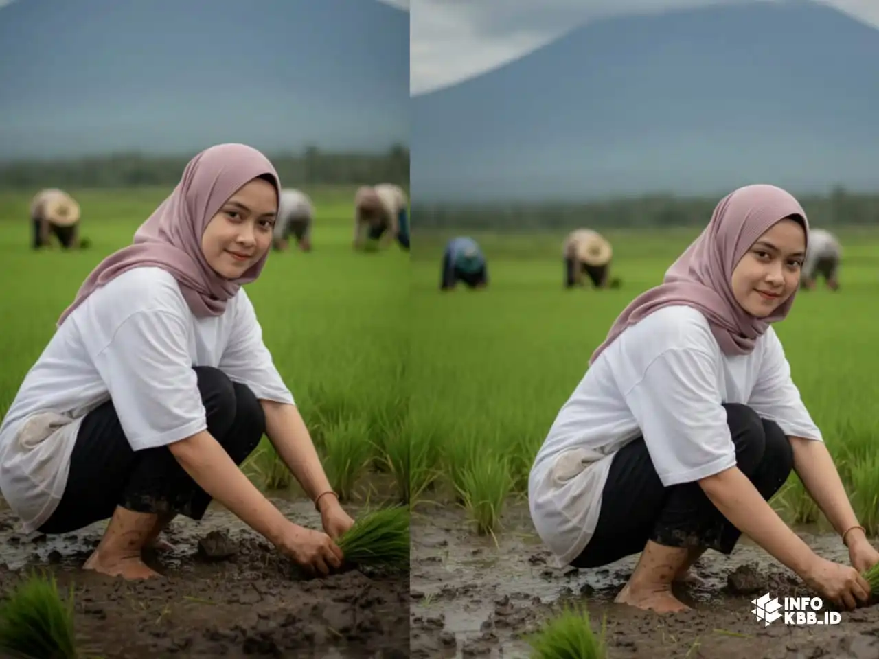 Berikut, 5 Contoh Prompt Gemini AI Menyulap Foto Menjadi Vidio Pendek