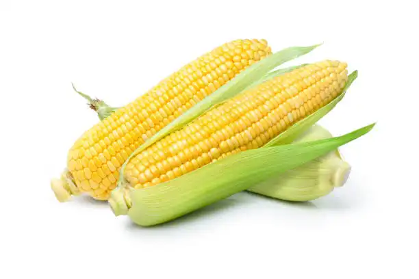 Jangan Remehkan Jagung! Ini Segudang Khasiatnya!