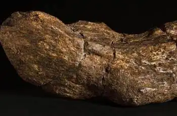 Panjang Tinja Ini 20 Cm, Ini Fakta Feses Bangsa Viking yang Disebut Harta Karun