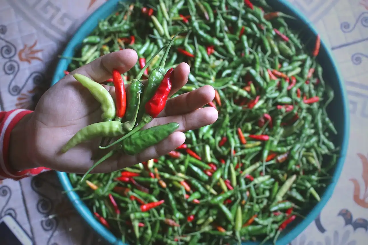 Update Pangan Selasa, 2 Desember 2025: Harga Bawang Naik, Minyak Goreng Stabil