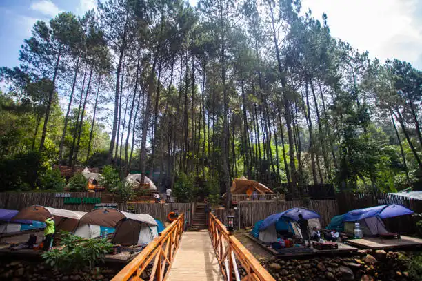 Bosan Kafe? Coba Sensasi Camping di Lembang!