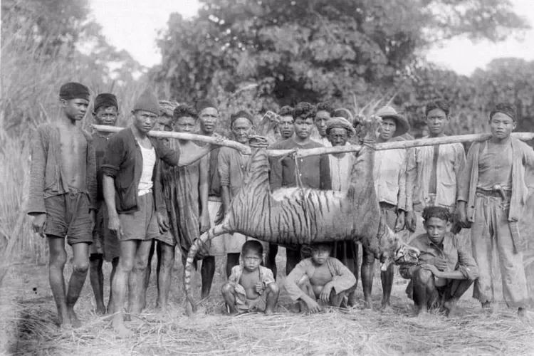 🐯 Asal Usul Nama Padalarang di Bandung Barat: Misteri dari Harimau dan Dipati Ukur