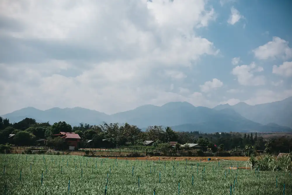 Cuaca, Kesehatan, dan Gaya Hidup di Musim Kemarau & Peralihan Musim di Indonesia