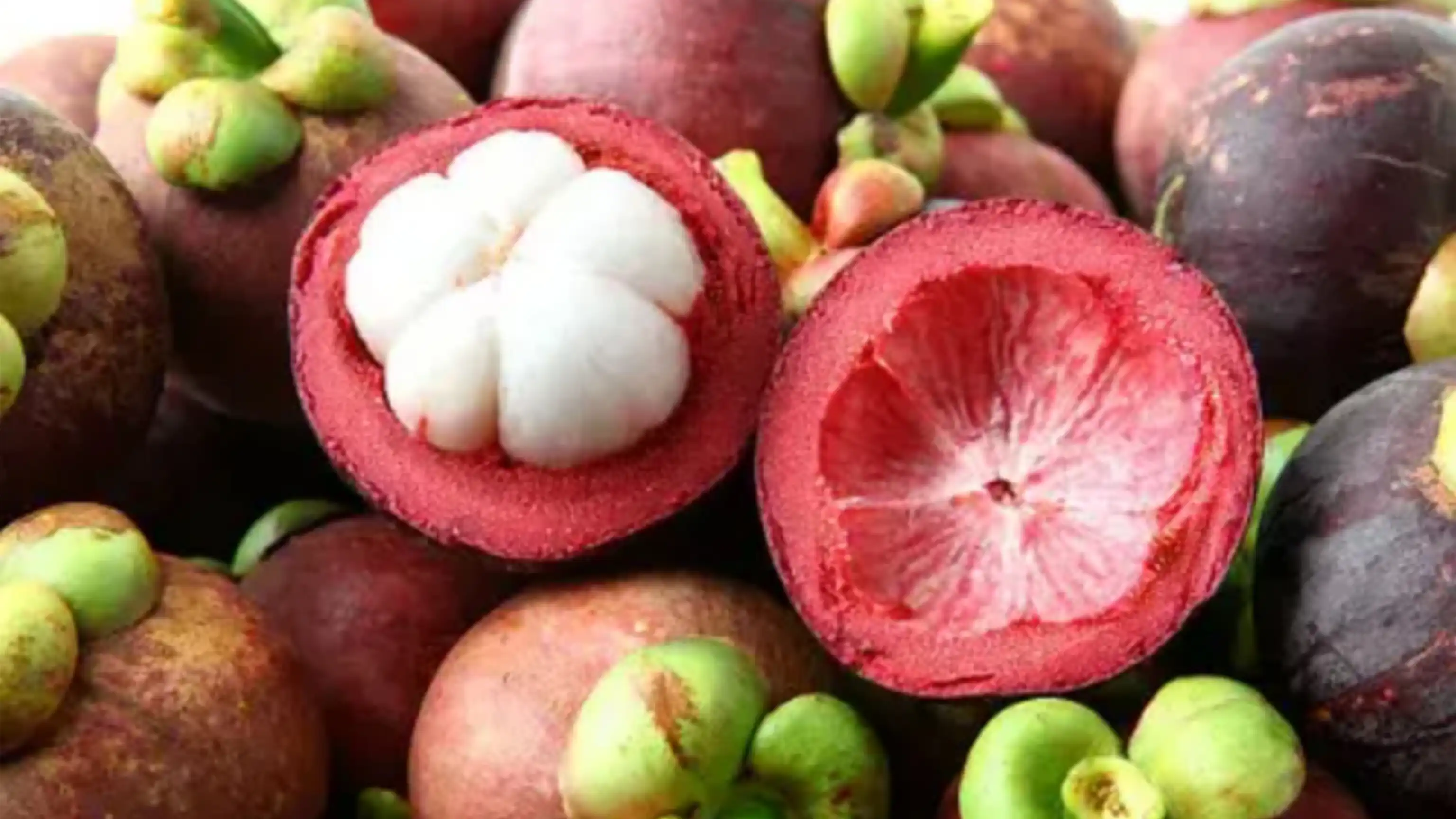 Enak & Sehat! Intip Manfaat Buah Manggis Ini