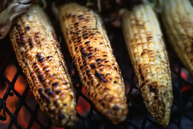 Jagung Bakar: Si Kenyal, Manis, Pedas, Gurih Idaman!
