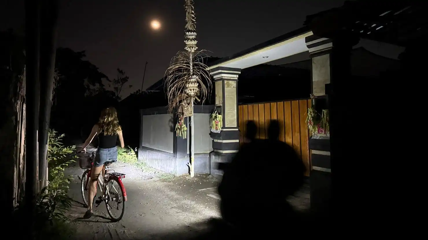 Pemadaman Listrik di Bali: Dampak, Upaya Penanganan, dan Prospek Jangka Panjang