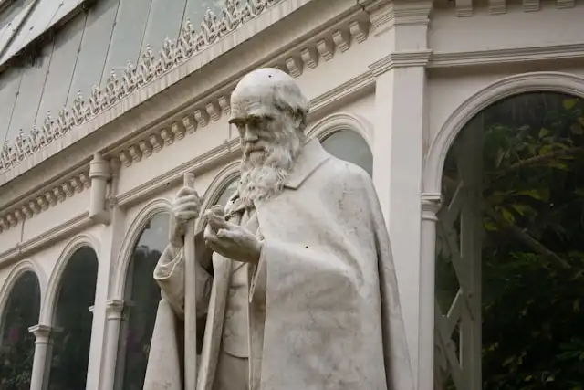 Teori Evolusi: Mengapa Darwin Masih Relevan Kini?