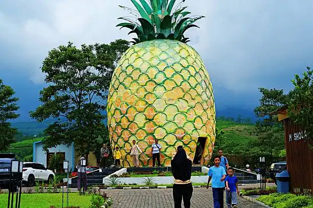 Escape Stress: Jelajahi 5 Destinasi Seru di Subang.