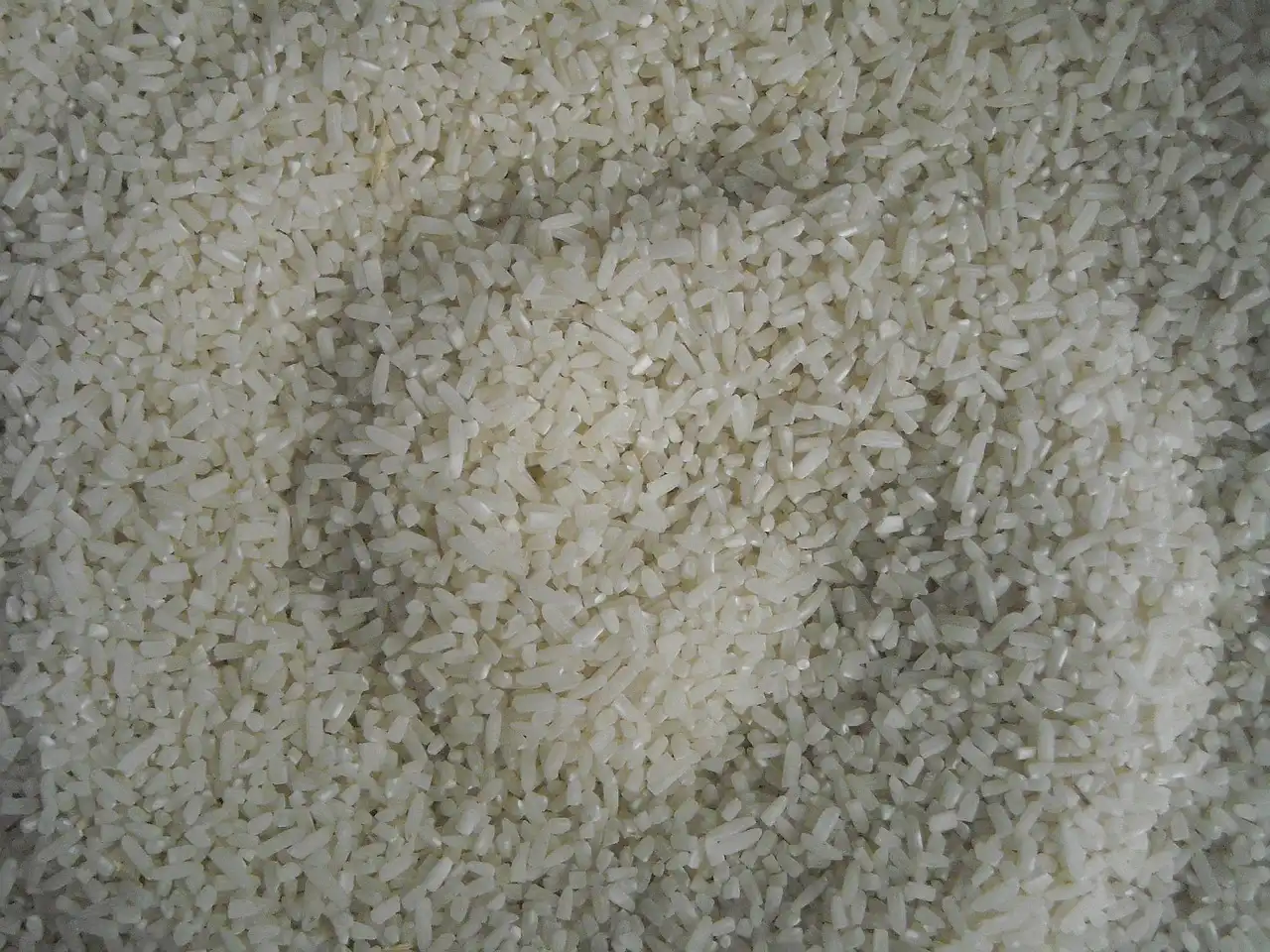 Was-was Beras Plastik: Ini Cara Cek Keasliannya!