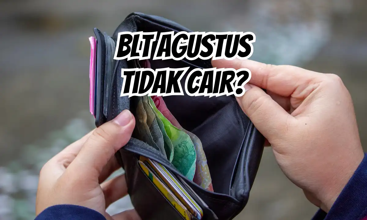 Drama BLT Agustus 2025: Kenapa Bantuan Nggak Pernah Nyampe ke Tanganmu? Ini Dia Biang Kerok dan Solusinya!