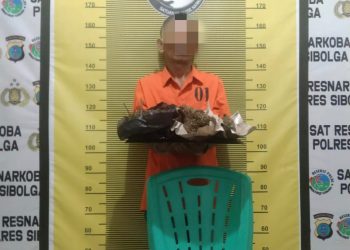 Tim Opsnal Sat Resnarkoba Polres Sibolga Tangkap Residivis Narkoba