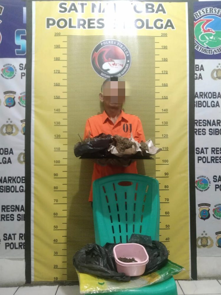 Tim Opsnal Sat Resnarkoba Polres Sibolga Tangkap Residivis Narkoba