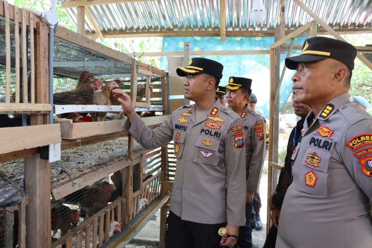 Dukung Ketahanan Pangan, Polisi di Tapteng Berdayakan Warga Lewat Usaha Ternak Ayam
