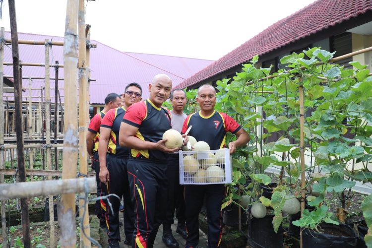 Dansat Brimob Polda Sumut Pimpin Panen Melon Hijau di KRPL, Wujud Nyata Ketahanan Pangan Mandiri dan Berkelanjutan
