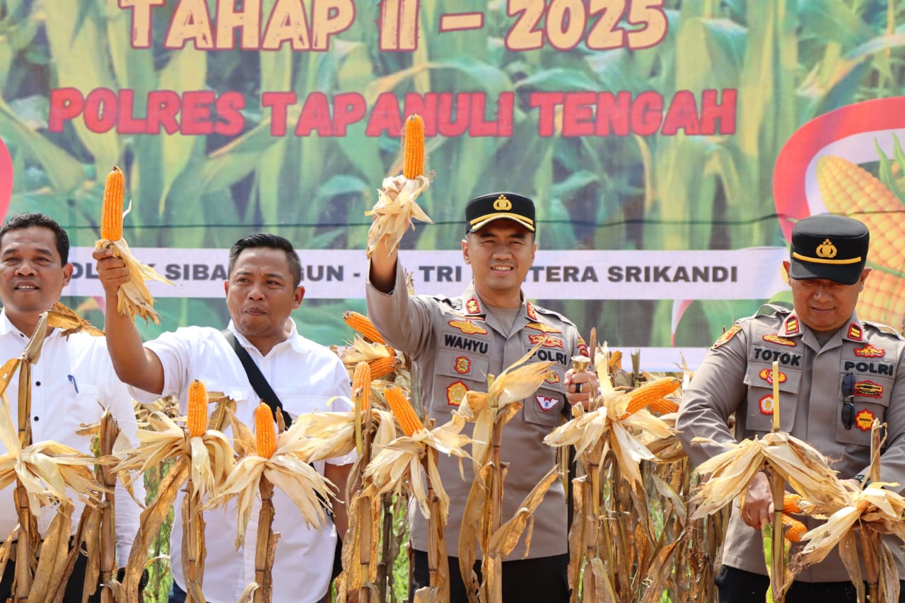 Polres Tapanuli Tengah Panen Raya Jagung Tahap 2 di Wilayah Sibabangun