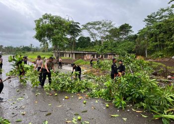 Personel Brimob, Basarnas, dan Taspen Gelar Kerja Bakti di Kepulauan Nias